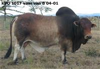 KPO 1017 vaar van B 04-001