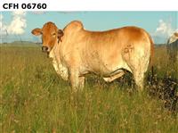 CFH 06-760