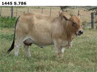 1445S.786