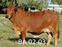 HMC 02-003 (BA 02-003)